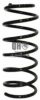 JP GROUP 1142200909 Coil Spring